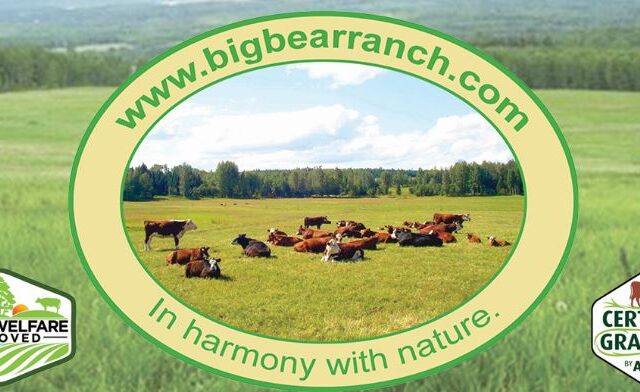 Big Bear Ranch 
